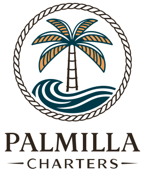 Palmilla